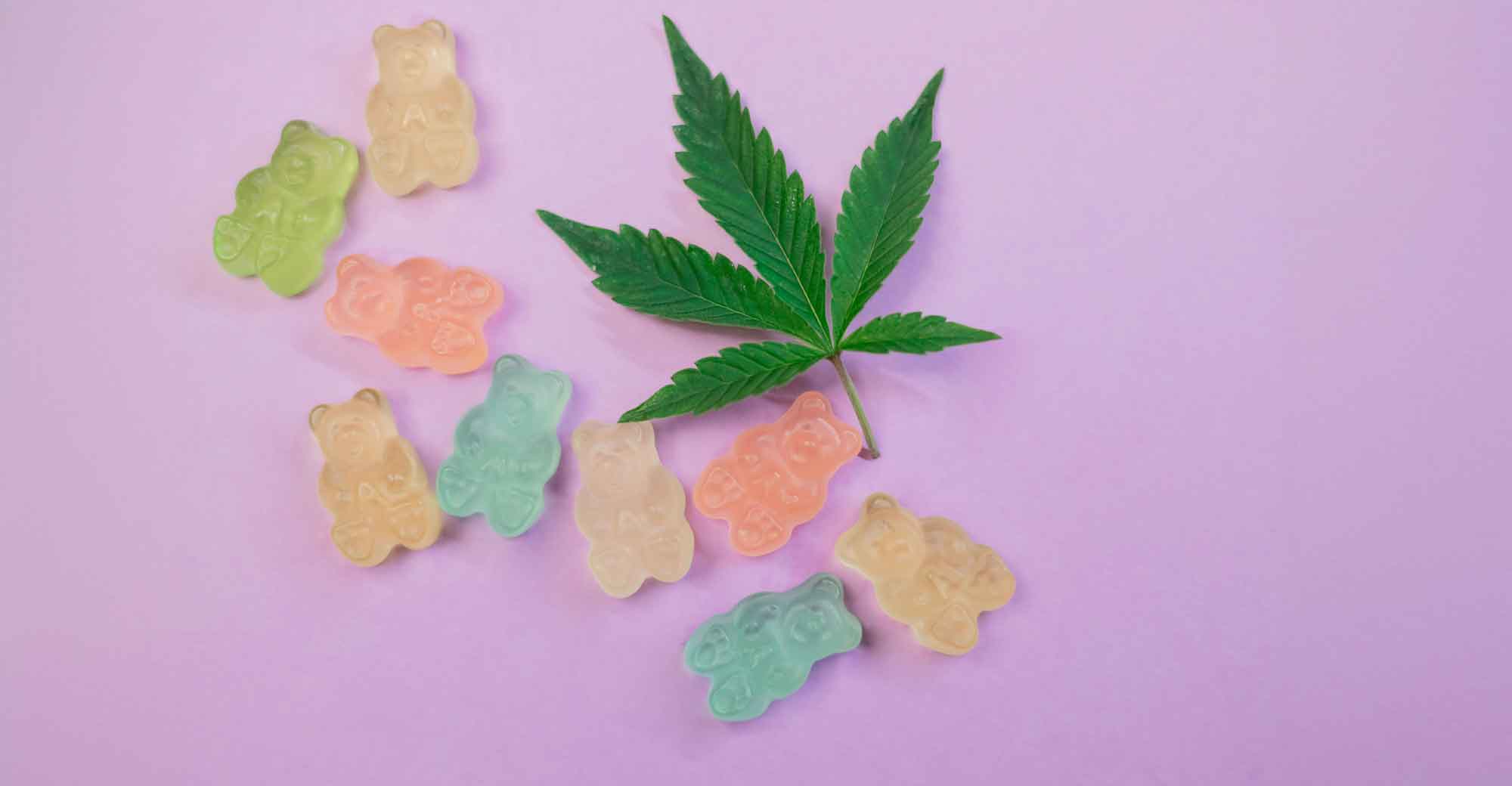 CBD Fruchtgummis: Die leckere Art, von den Vorteilen von CBD zu profitieren