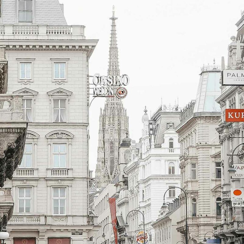 Hanfavia CBD - Blog: Der ultimative Leitfaden zum Kauf von CBD in Österreich