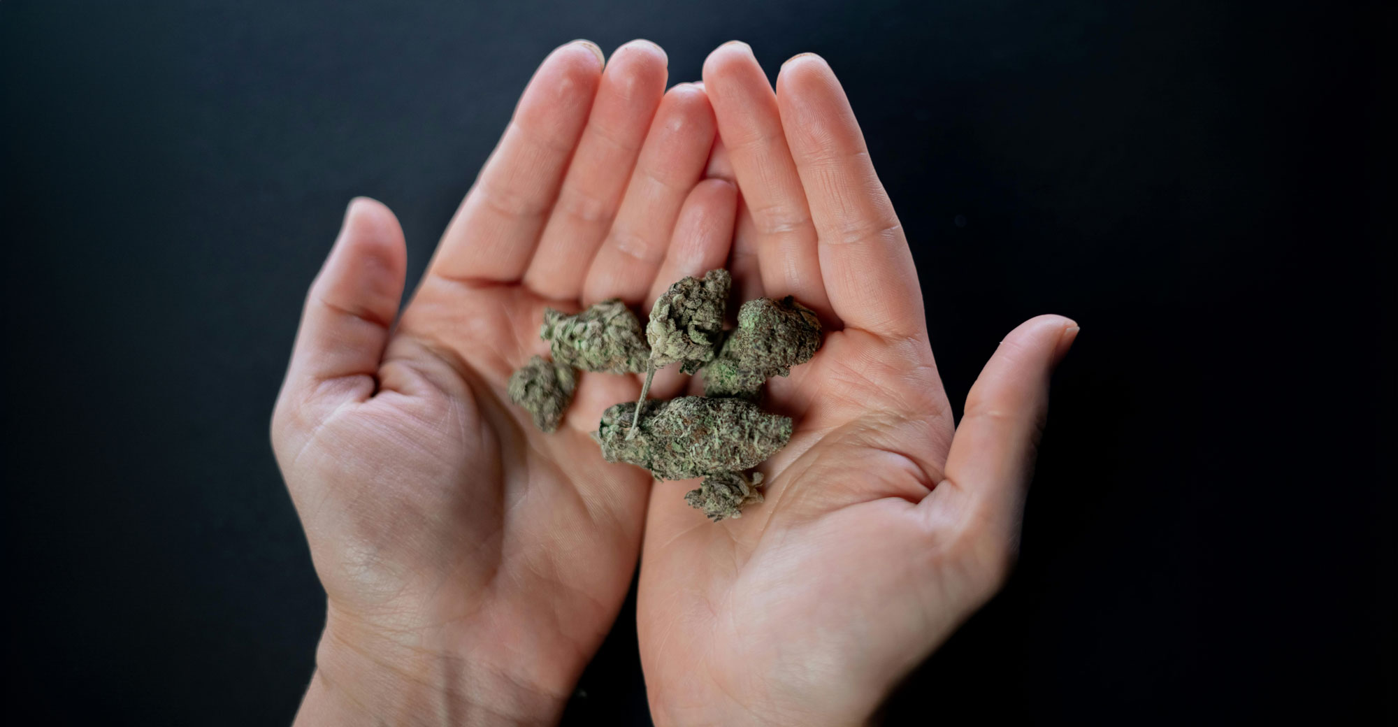 Alles, was Sie über H4CBD wissen müssen